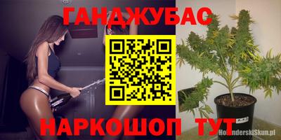 сатива Будённовск
